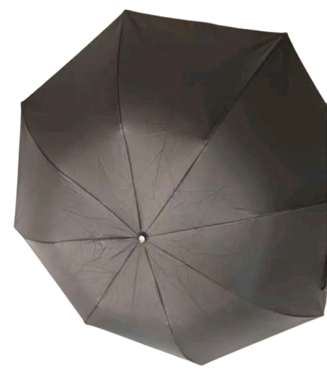 Janina Umbrella with Case