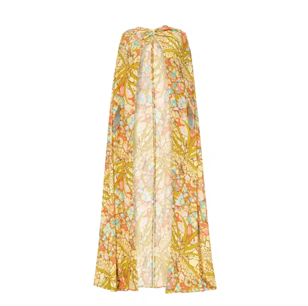 Donnie Bikini and Cape