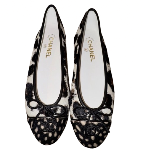 Shylia Ballet Flats
