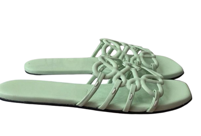 Chrissy Slides